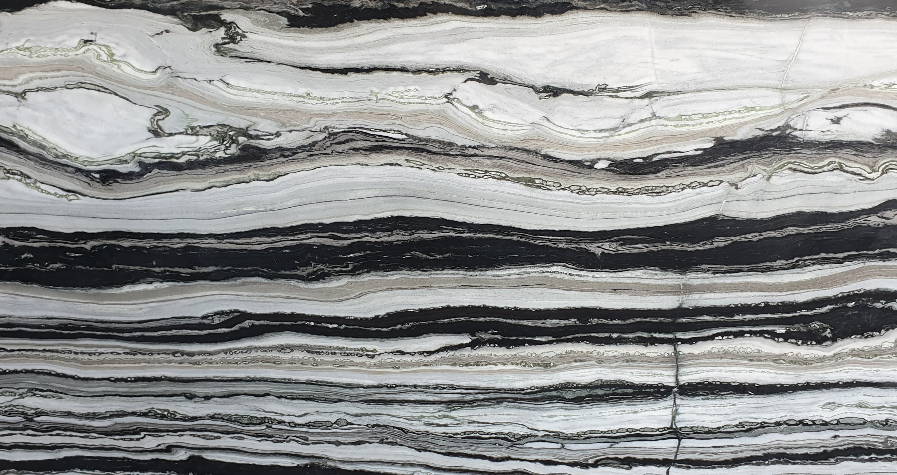 Panda White Symphony